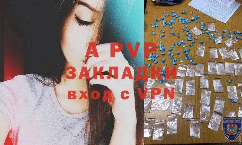 закладка  Канаш  A PVP СК 